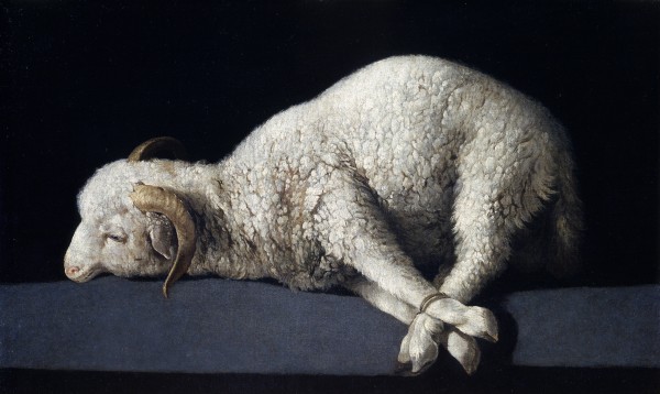 Agnus Dei by Francisco de Zurbaran